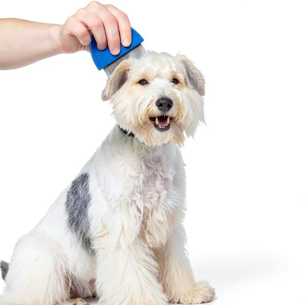 Prime Pets Cat Comb Stainless Steel Detangler-5